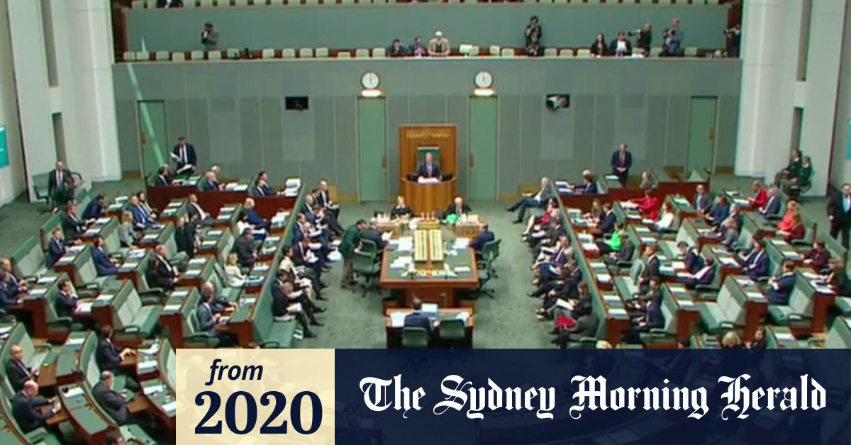 Video Parliament returns